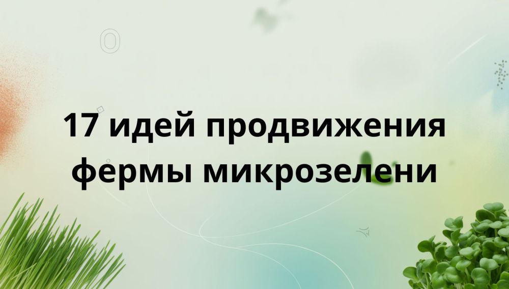 17 идей офлайн-продвижения для фермы микрозелени