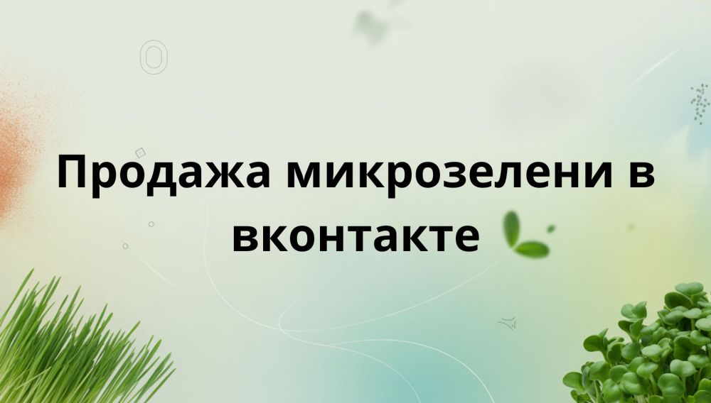 Как заработать на продаже микрозелени с помощью ВКонтакте