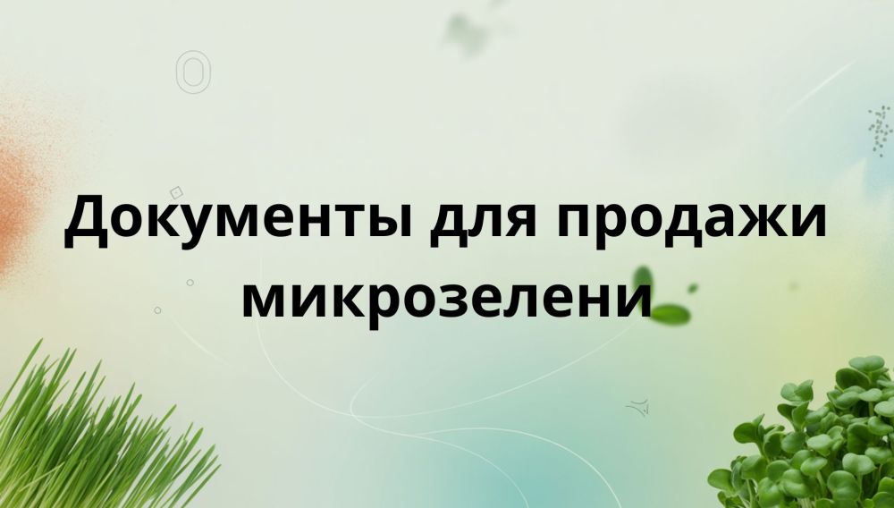 Документы для выращивания микрозелени: что нужно знать ИП и самозанятым
