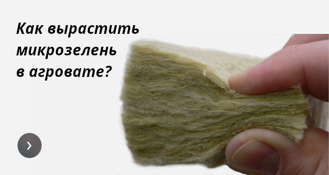 Как вырастить в агровате