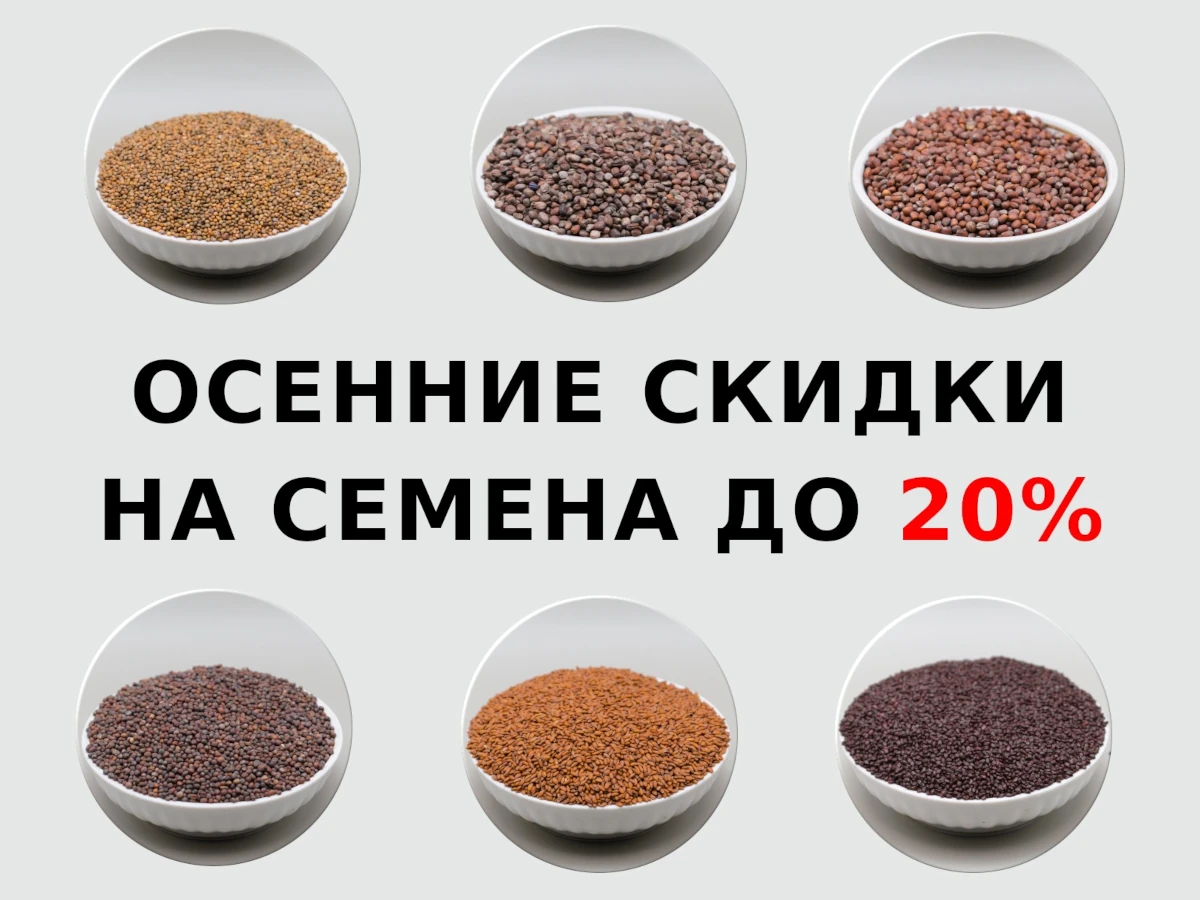 Купить семена микрозелени со скидкой.